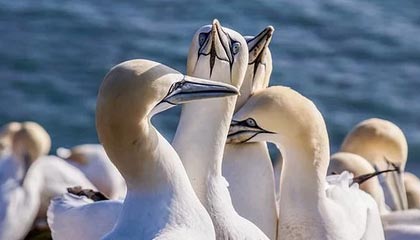 乐高表示智能积木将“长期存在”，并回应了有关其“放弃非数字化玩法”的质疑与担忧